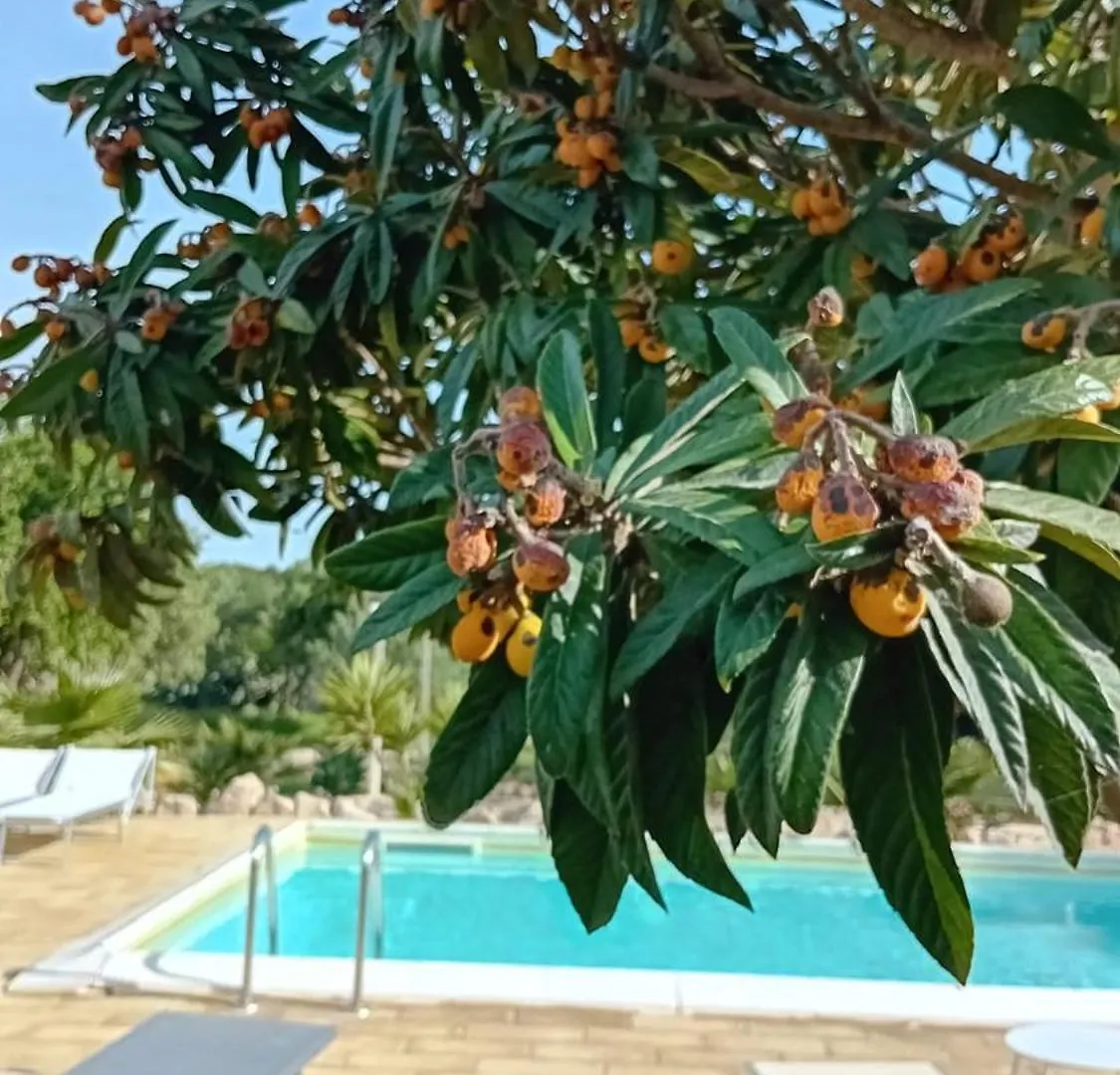Agriturismo Villa Flavia Casa Serrafiori 0*,  Italy
