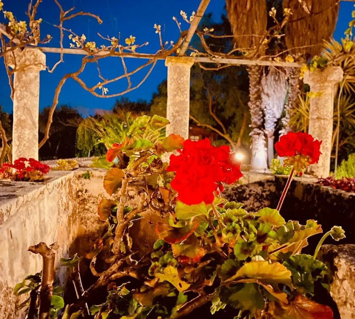 Agriturismo Villa Flavia Casa Serrafiori
