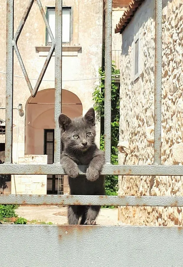 Agriturismo Villa Flavia Casa Serrafiori Italy